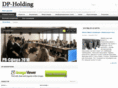 dp-holding.com