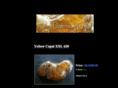 dominicancopal.com