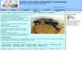 buscopiso-info.com