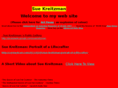 suekreitzman.com