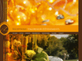 azreceptions.com