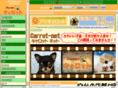 carrot-net.com