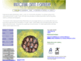 multiculturalartfestivals.org