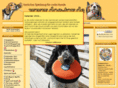 dog-toy.de