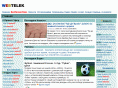 webtelek.com
