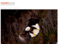 courtleve.com