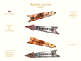 maroesja-lacunes.com