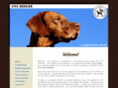 cvcrescue.org