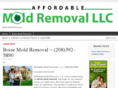 boisemoldremoval.com