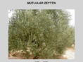 mutlularzeytin.com