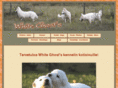 white-ghost.com
