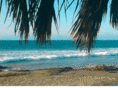 reyestravel.com