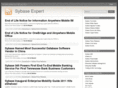 sybase-expert.com