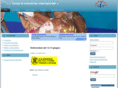 campidivolontariato.org