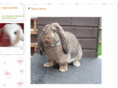 lapinlops-stud.com