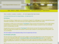 curbappeallighting.com