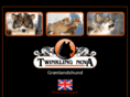 twinklingnova.com