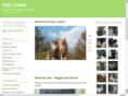katzcastle.com