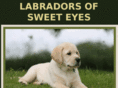 labradorsofsweeteyes.com