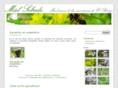 mielsobredo.com