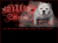 asylumbullies.com