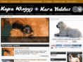 kara-yulduz.com