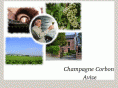 champagne-corbon.com