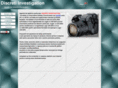discreti-investigation.com