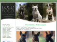 loco-poco.com