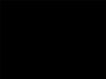 dog001.net