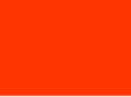 netsolintl.com