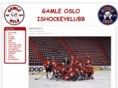 gamleoslo.org