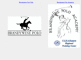 bpapolo.com