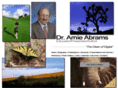 arnieabrams.net