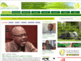 gabonactu.com