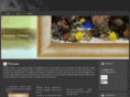 acquariovirtuale.com
