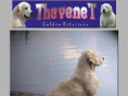 goldenretrieverthevenet.com