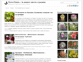 flowermania-bg.com
