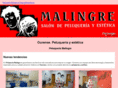 peluqueriamalingre.com