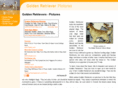 golden-retrievers-pictures.com