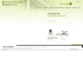 efs-llc.com