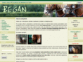 began-shop.cz