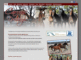 carrusdressage.com