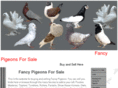 fancypigeonsforsale.com