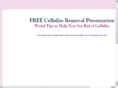eliminatecellulitenow.com
