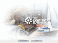 gemibasi.com