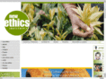 global-ethics.info
