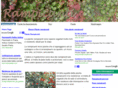 rampicanti.com