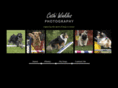 cwinkles.com