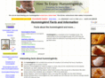 howtoenjoyhummingbirds.com